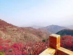 -水峪民俗村