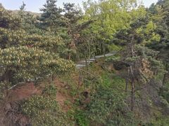 -沂蒙山旅游区云蒙景区(蒙山国家森林公园)
