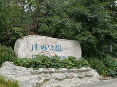 -成都市活水公园