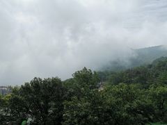 -沂蒙山旅游区云蒙景区(蒙山国家森林公园)