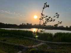 -北京麋鹿生态实验中心