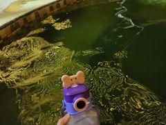 -三江森林温泉度假区