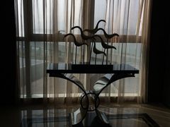 iphone_upload_pic-东旭阳光国际大酒店