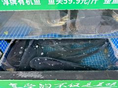 -好灶头妈妈菜·千岛湖柴火鱼餐厅(桐庐店)