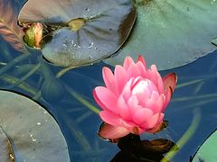 -国家植物园南园