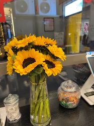 -摩睫+皮肤管理·科学美容中心