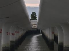 -沙坡尾艺术西区