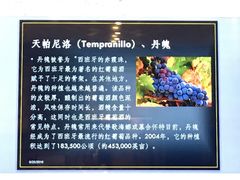 -葡萄酒溯源地(众润家园店)