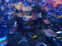 -成都浩海立方海洋公园