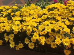 -云龙洗浴商务酒店