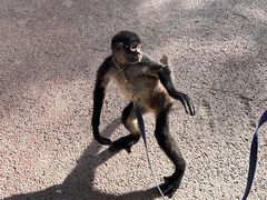 -水上乐园·欢乐世界