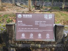 -都江堰中华大熊猫苑