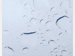 -山东八大碗山东老字号