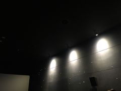 放映厅-CGV影城(壹方城IMAX店)