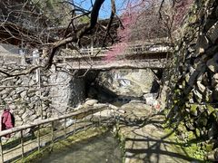 -林坑古村落