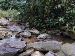-鼎湖山风景区