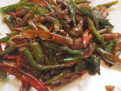 尖椒拆骨肉（开胃下酒）-石老头关东饺子王·东北菜(嘉华鑫城店)
