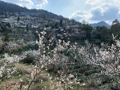 -樱桃山旅游景区