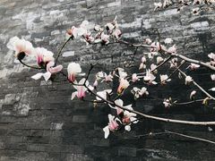 -东华门大街小区
