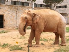 -石家庄市动物园