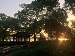 -杭州西湖柳莺里酒店