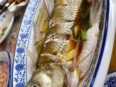 清蒸白水鱼-洞天食府(北大街店)