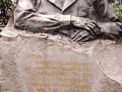 -广州神农草堂中医药博物馆