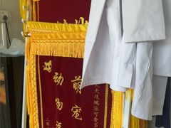 -瑞派宠物医院·犬猫全科·猫友好(宾水西道店)