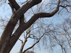 -玄武湖景区-情侣园游乐场