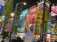 -秋叶原电器街