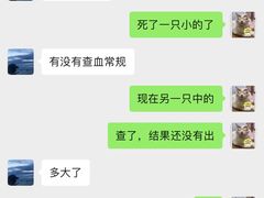 -严国平动物医院(德政总院)