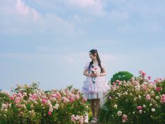 -苏州湾体育公园