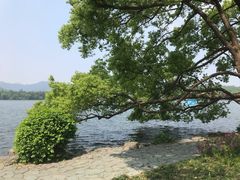 -苏堤停车场