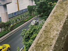 -人民解放纪念碑