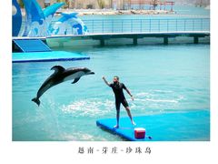 -芽庄珍珠岛游乐园