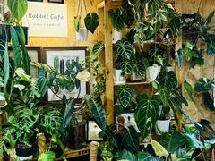 -Rabbit Cafe私房西餐甜点咖啡(栖霞路店)