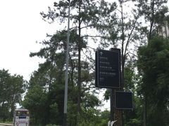 -美的鹭湖探索王国