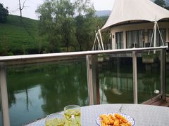 -帐篷客·溪龙茶谷度假酒店