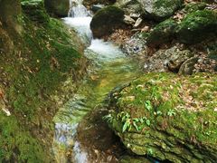 -青城山