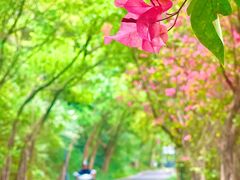 -广州雕塑公园