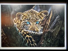 -罗红摄影艺术馆