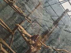 -武汉动物园