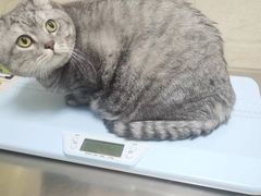 -仁华宠物医院(青羊店)