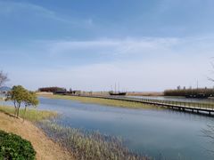 -太湖湖滨国家湿地公园-停车场