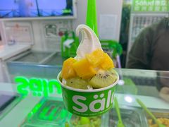 -Salud撒露欧洲冻酸奶(五道口购物中心店)
