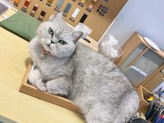 -Oasis绿洲银饰珍珠手作diy(壹方城店)
