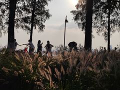 -东湖生态旅游风景区