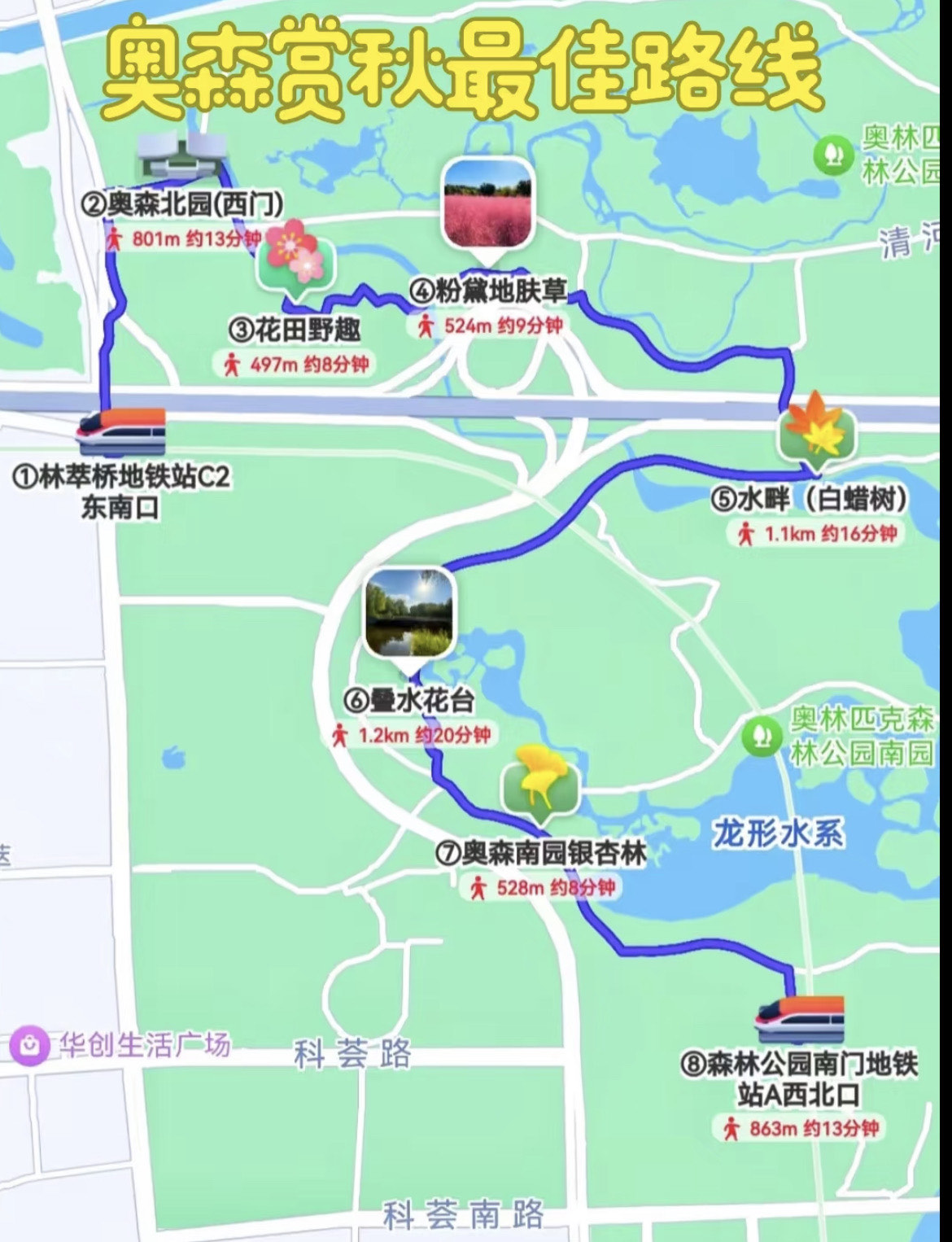 奥森观鸟路线图片