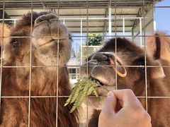 -迪茵湖田家舍生态农场