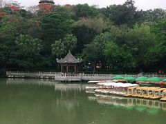 -惠州泗洲塔